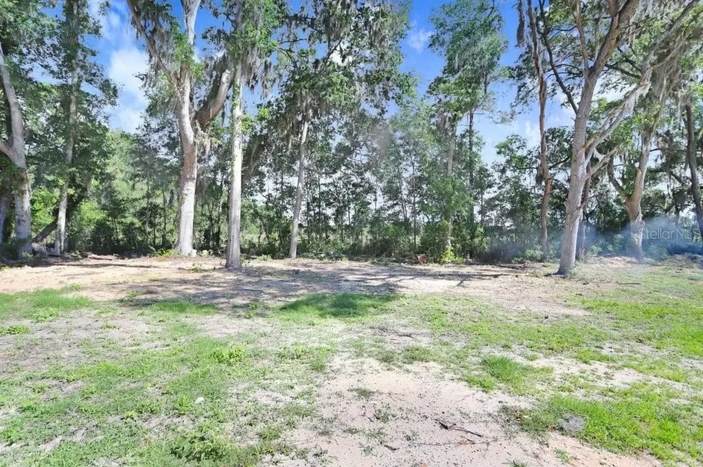 2859 SE 140th Place Summerfield FL 34491