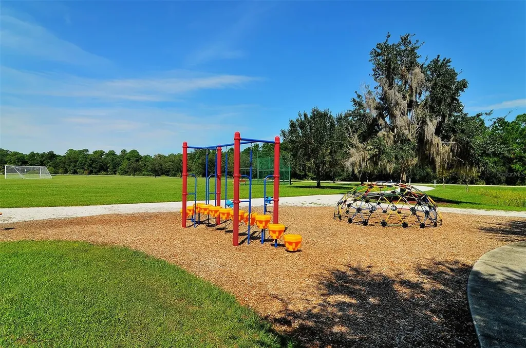 14324 Silver Trout Drive Lakewood Ranch FL 34202