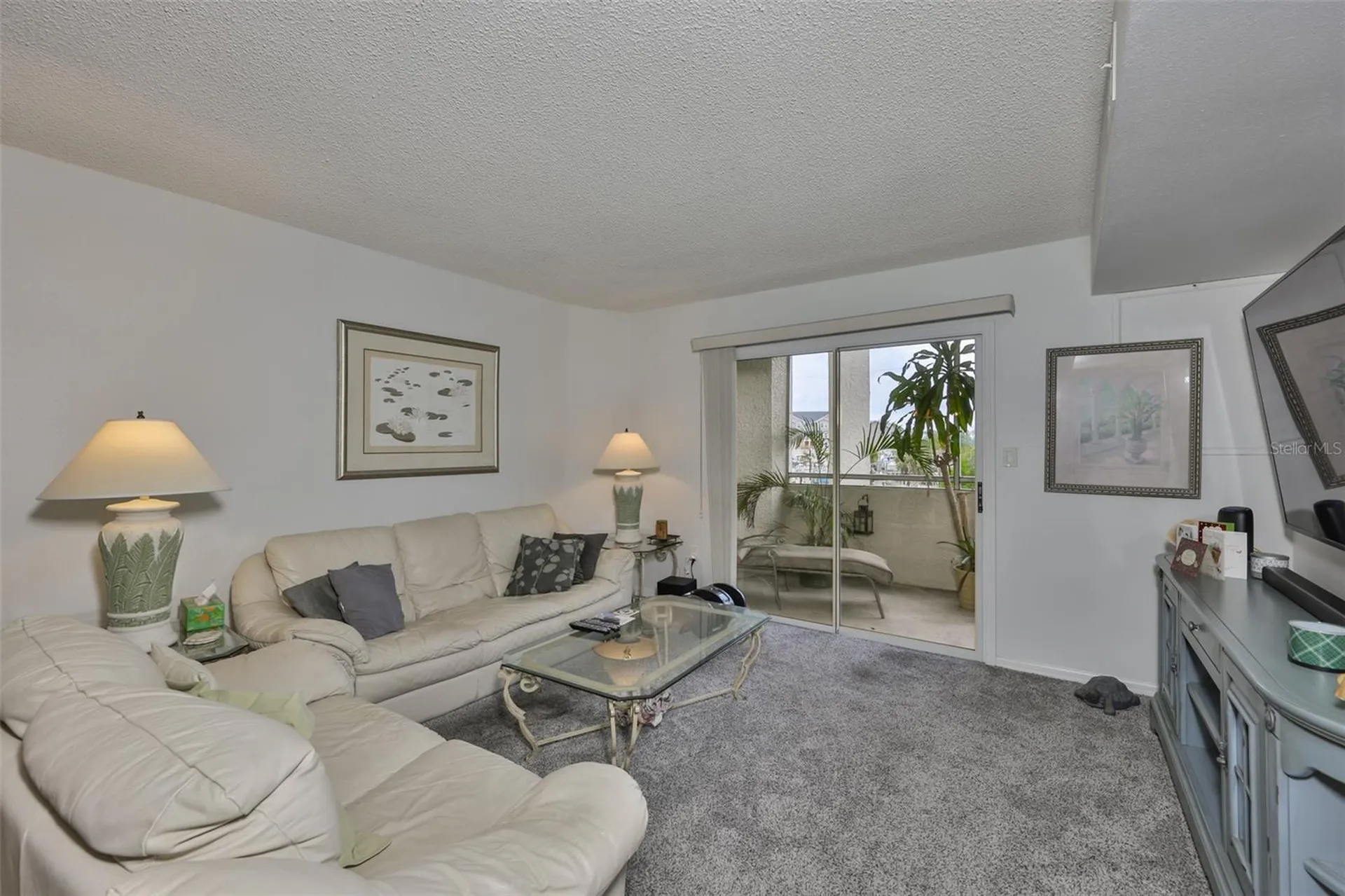 5567 Sea Forest Drive New Port Richey FL 34652