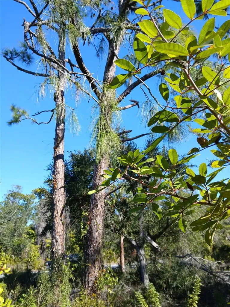 13493 Markham Avenue Port Charlotte FL 33953