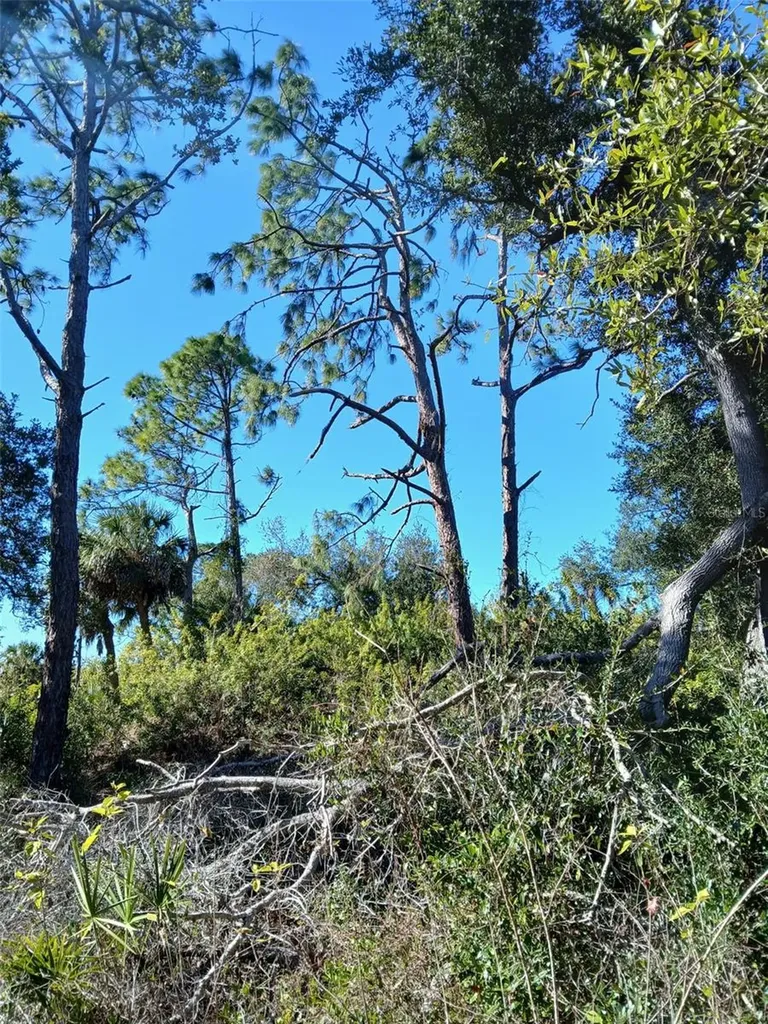 13493 Markham Avenue Port Charlotte FL 33953