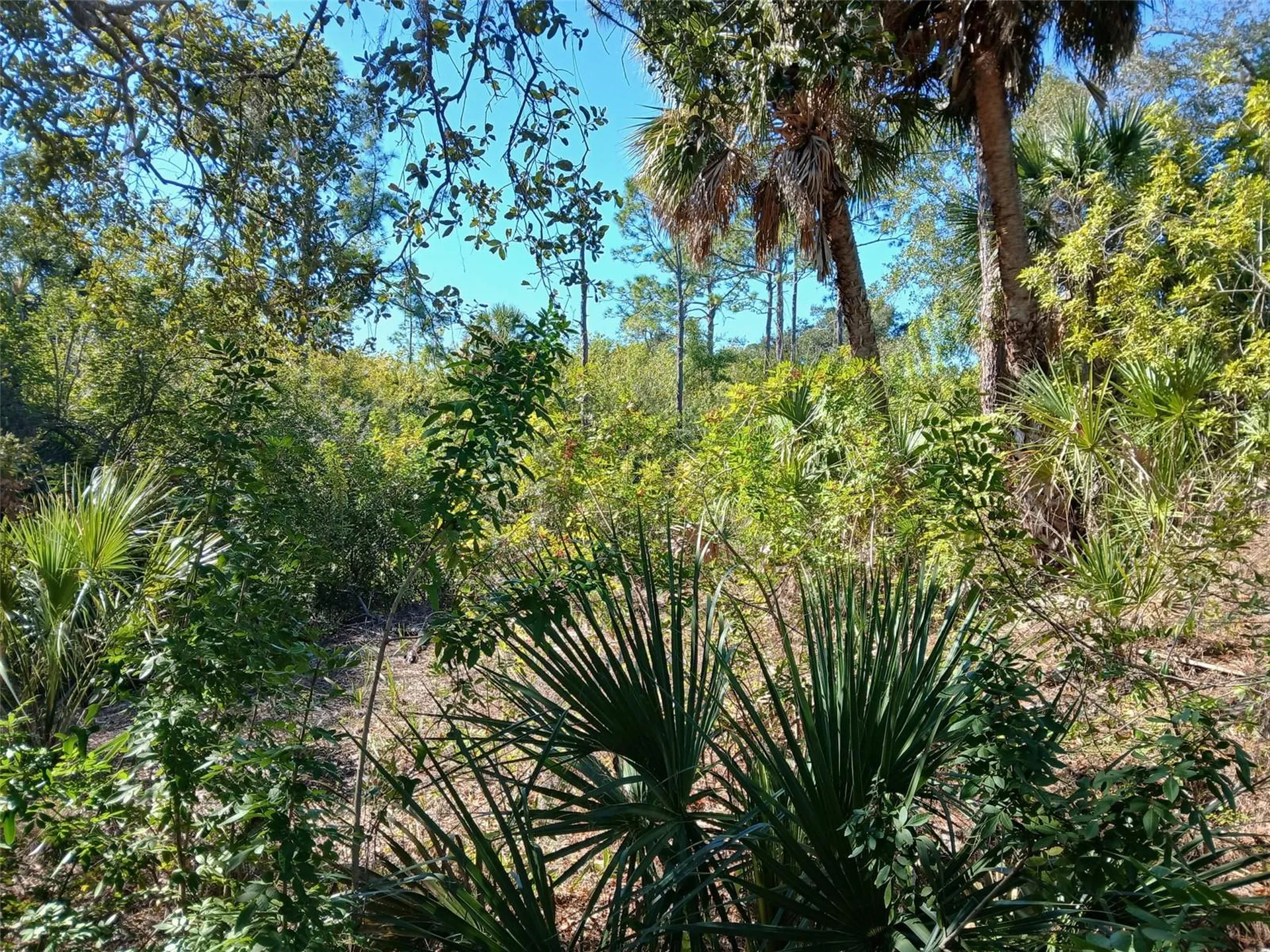 13493 Markham Avenue Port Charlotte FL 33953
