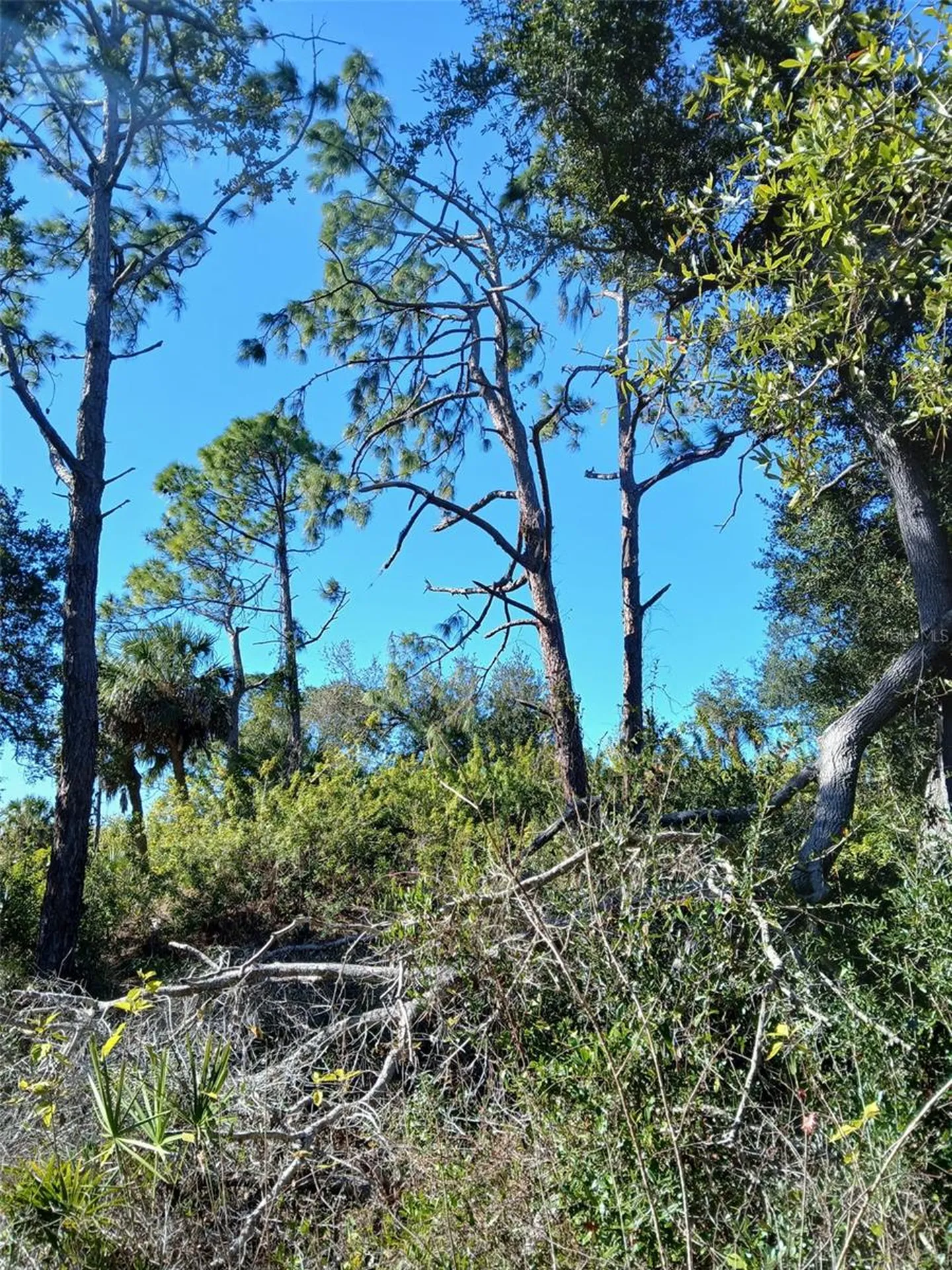 13493 Markham Avenue Port Charlotte FL 33953
