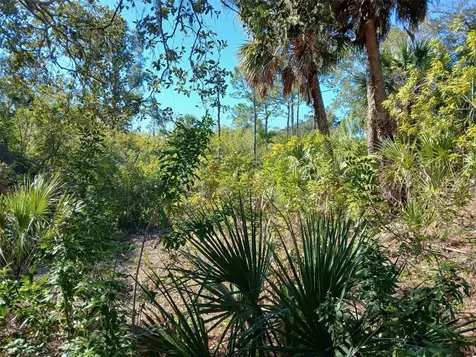13493 Markham Avenue Port Charlotte FL 33953