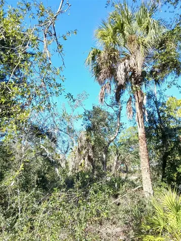 13493 Markham Avenue Port Charlotte FL 33953