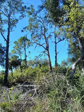 13493 Markham Avenue Port Charlotte FL 33953