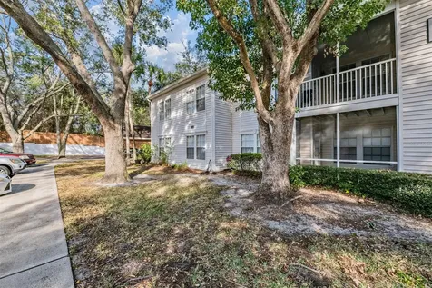 3274 Haviland Court Palm Harbor FL 34684