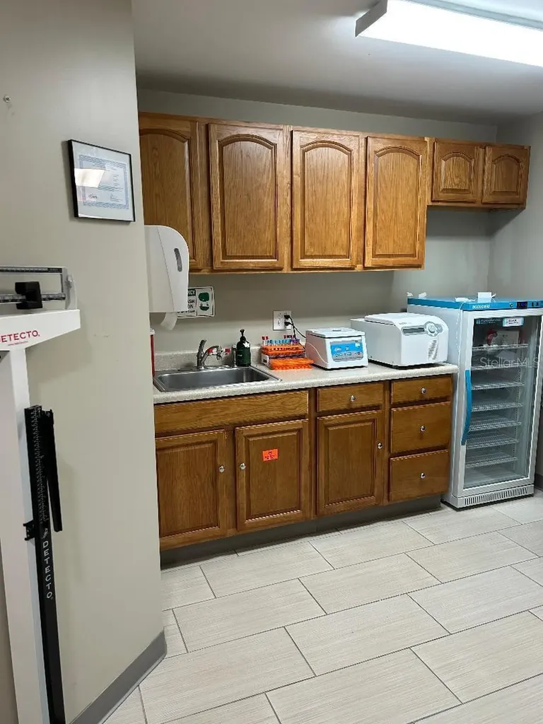 13302 Winding Oak Court Tampa FL 33612