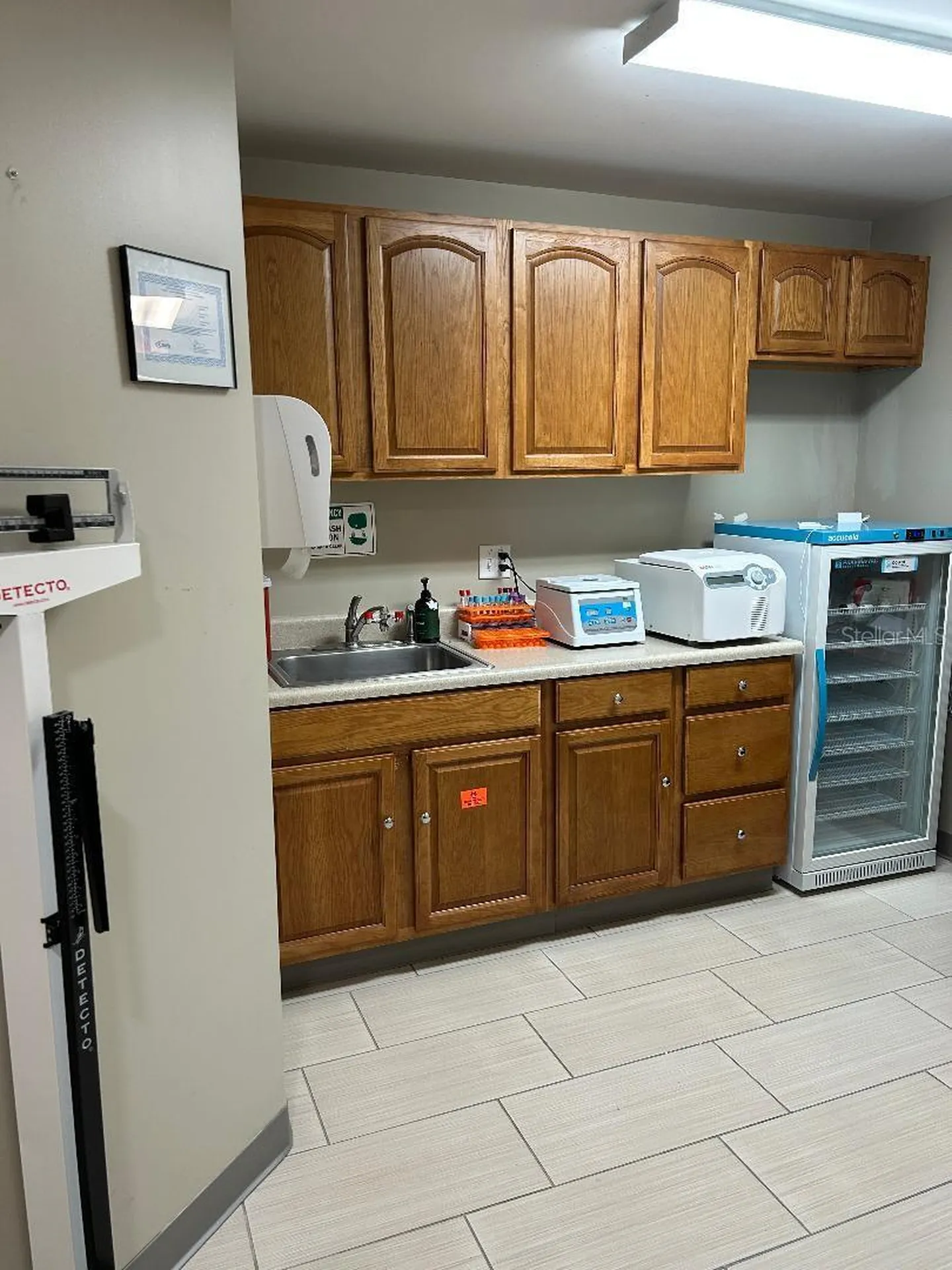 13302 Winding Oak Court Tampa FL 33612