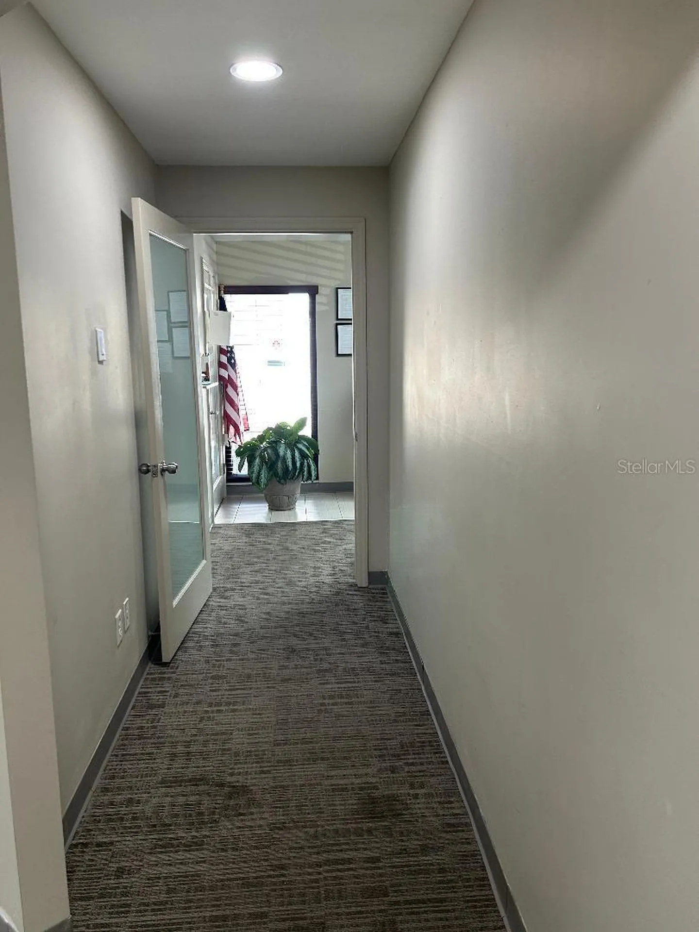 13302 Winding Oak Court Tampa FL 33612
