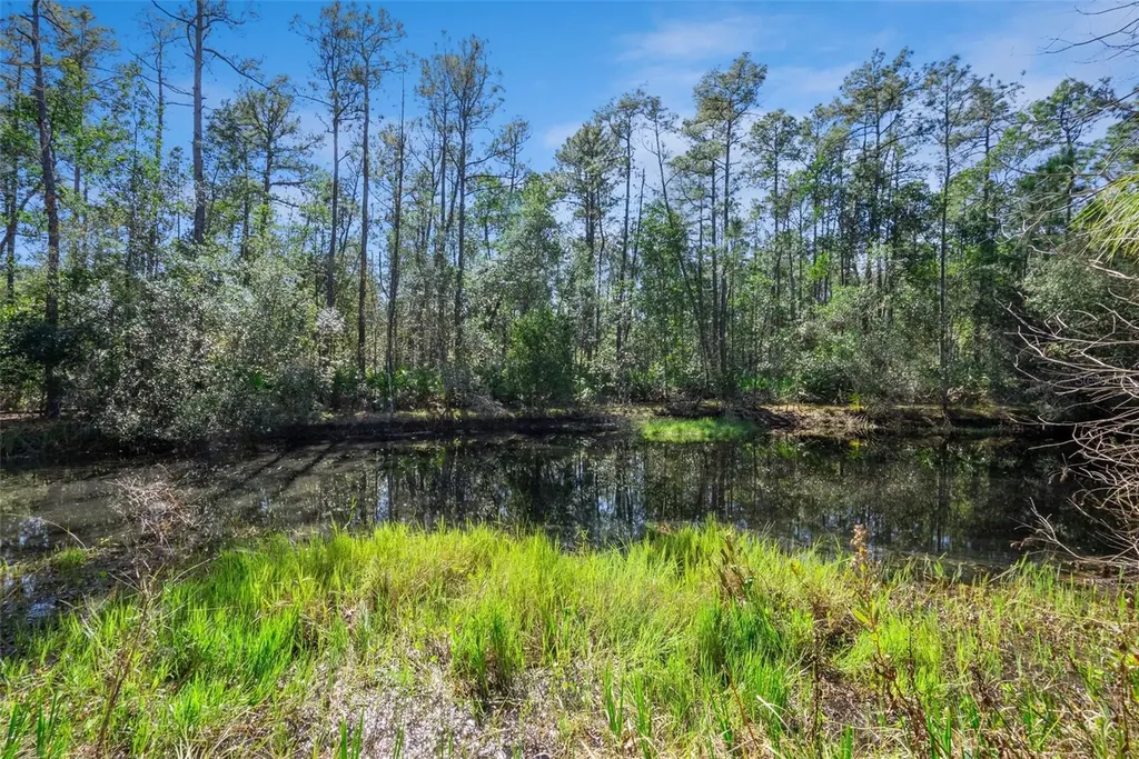 3441 Hickory Creek Road Deltona FL 32738