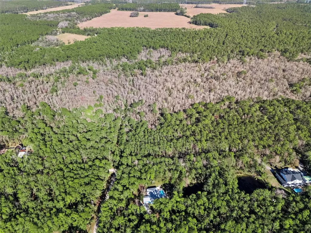 3441 Hickory Creek Road Deltona FL 32738