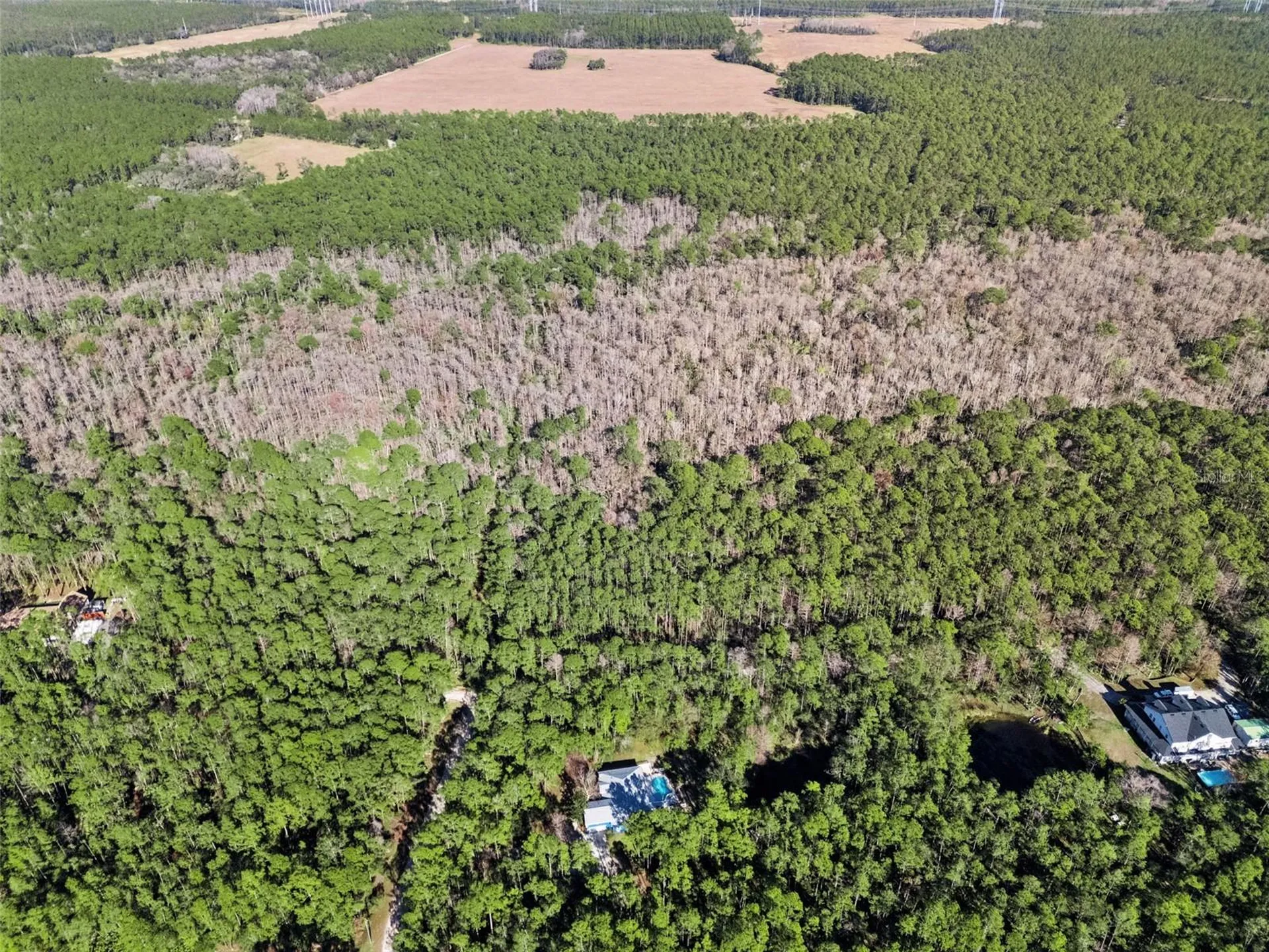 3441 Hickory Creek Road Deltona FL 32738