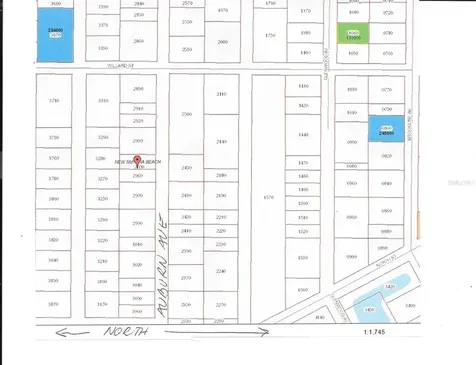 Auburn Avenue New Smyrna Beach FL 32168