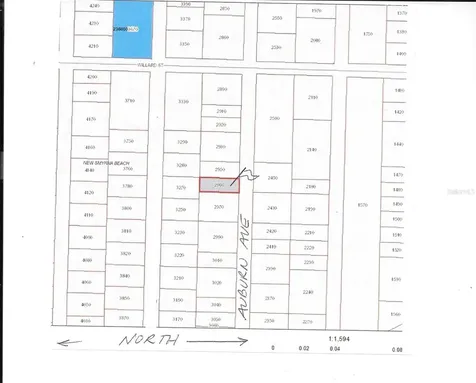 Auburn Avenue New Smyrna Beach FL 32168