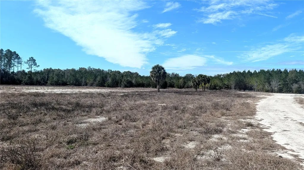 13550 NW Old Fannin Road Chiefland FL 32626