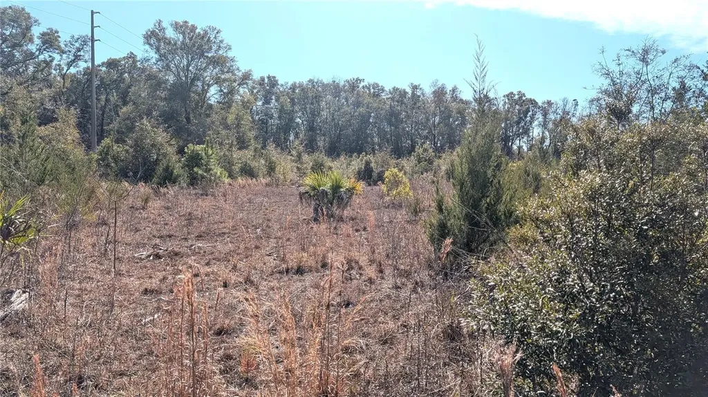 13550 NW Old Fannin Road Chiefland FL 32626