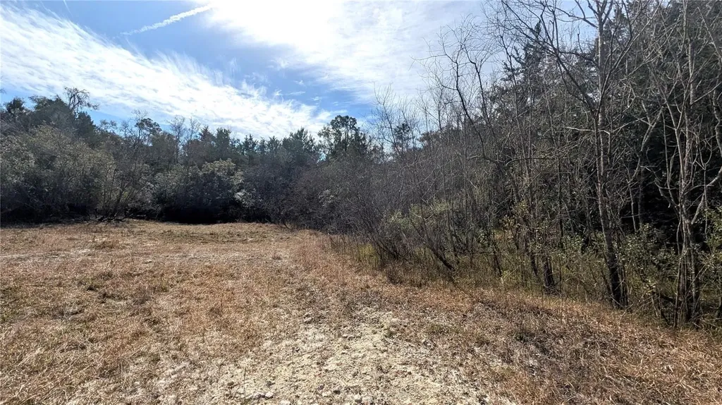 13550 NW Old Fannin Road Chiefland FL 32626
