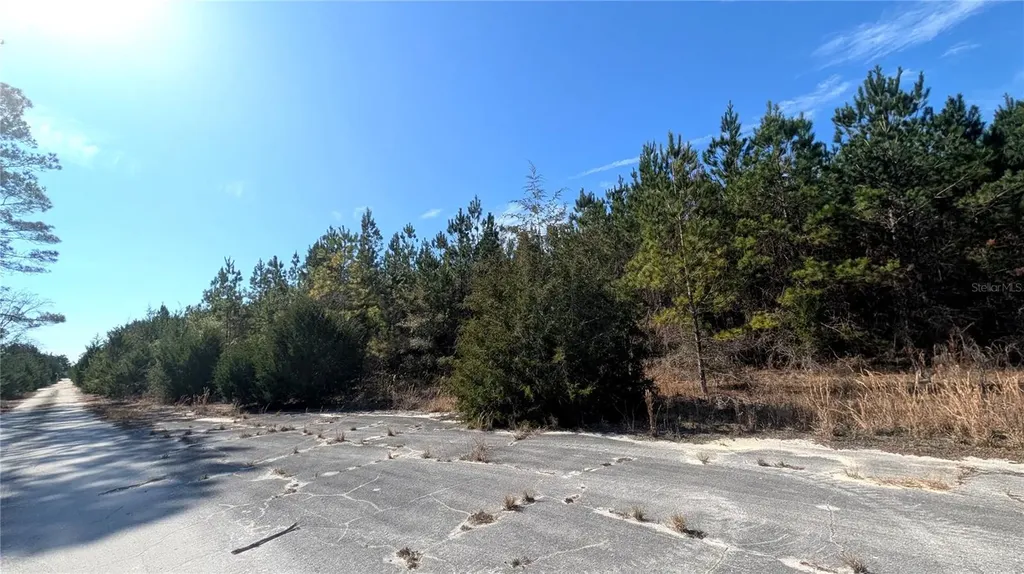 13550 NW Old Fannin Road Chiefland FL 32626