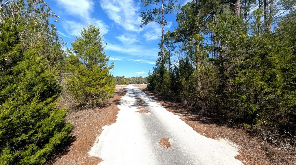 13550 NW Old Fannin Road Chiefland FL 32626