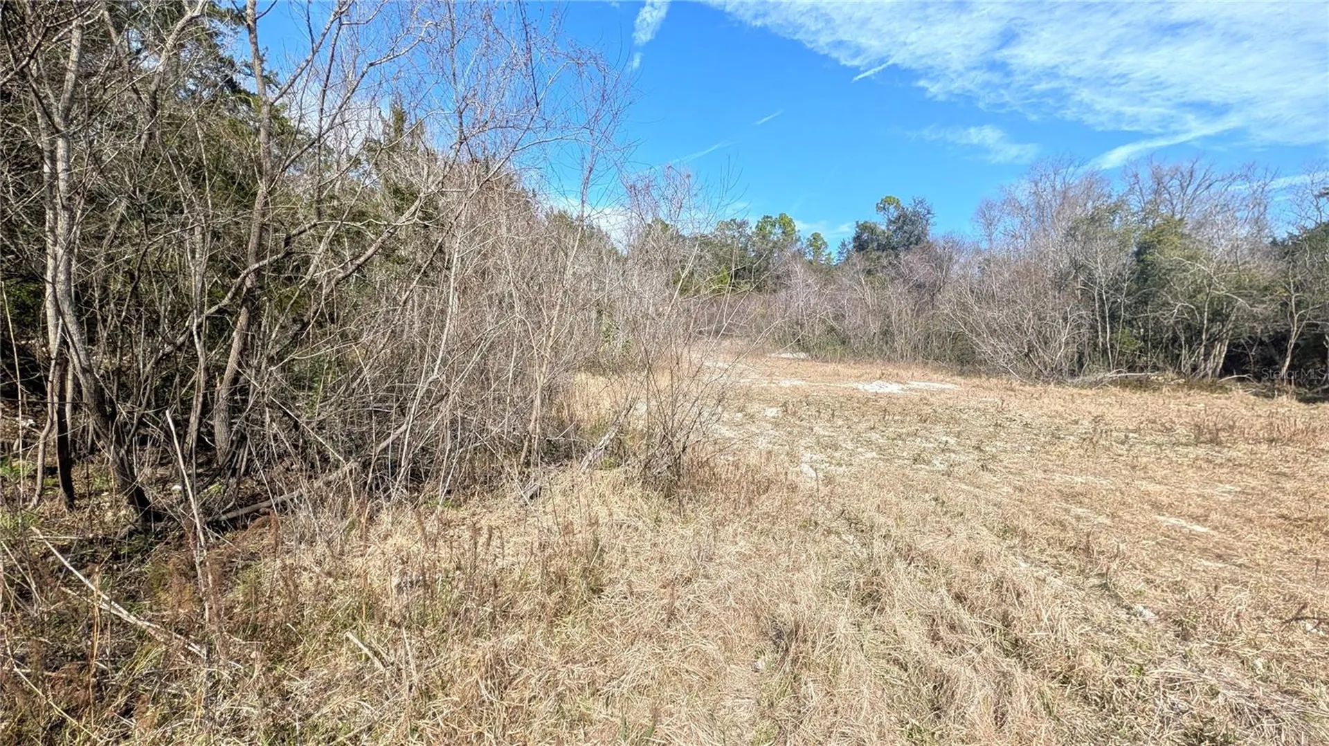 13550 NW Old Fannin Road Chiefland FL 32626