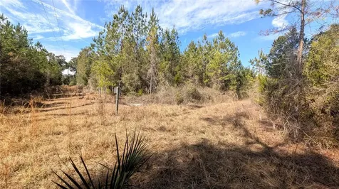 13550 NW Old Fannin Road Chiefland FL 32626