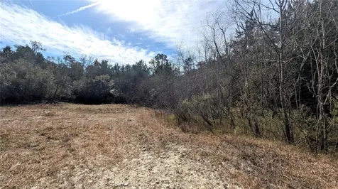 13550 NW Old Fannin Road Chiefland FL 32626