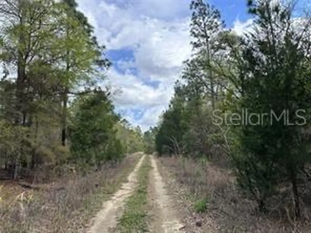 Tbd NE 12th Lane Williston FL 32696