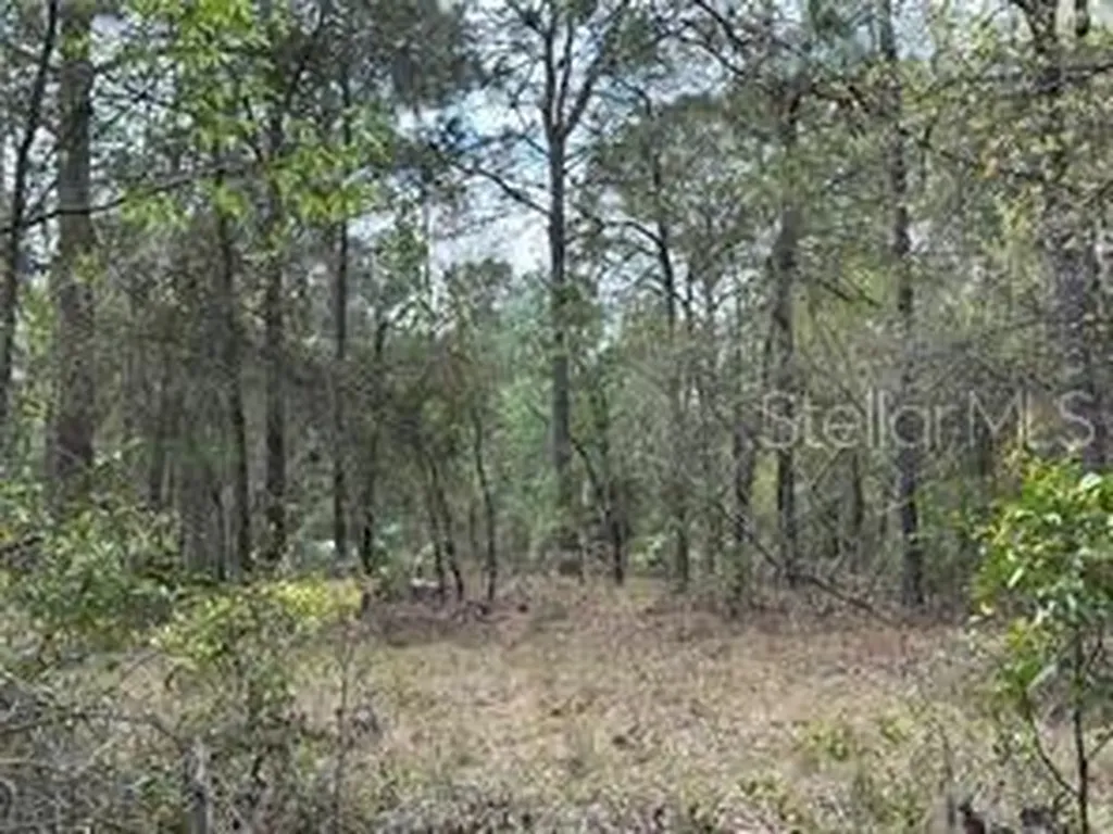 Tbd NE 12th Lane Williston FL 32696