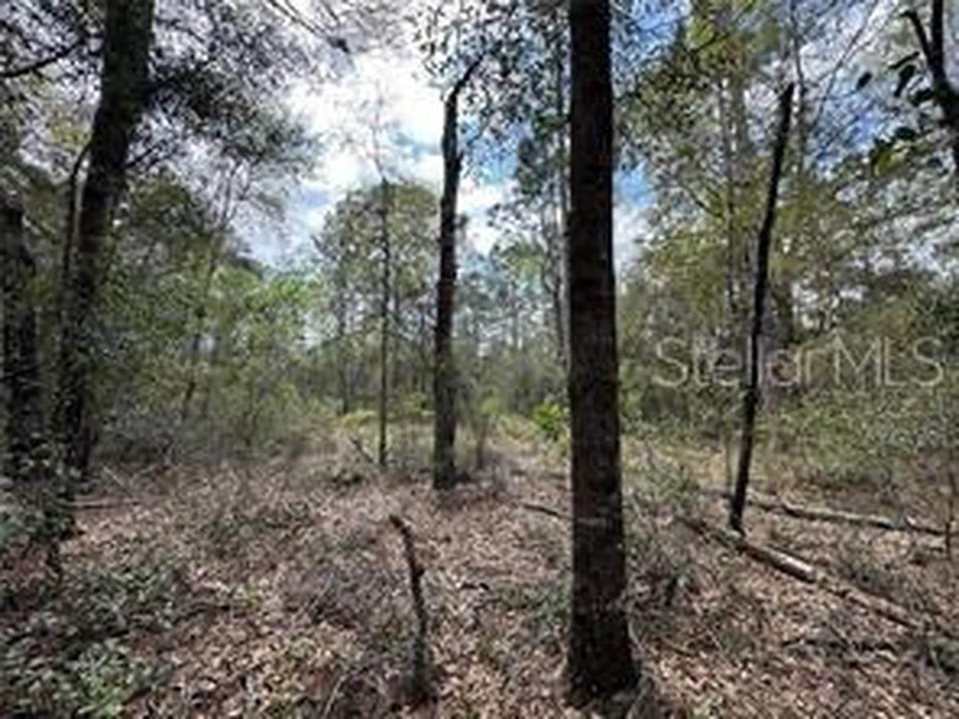 Tbd NE 12th Lane Williston FL 32696