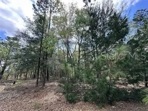 Tbd NE 12th Lane Williston FL 32696