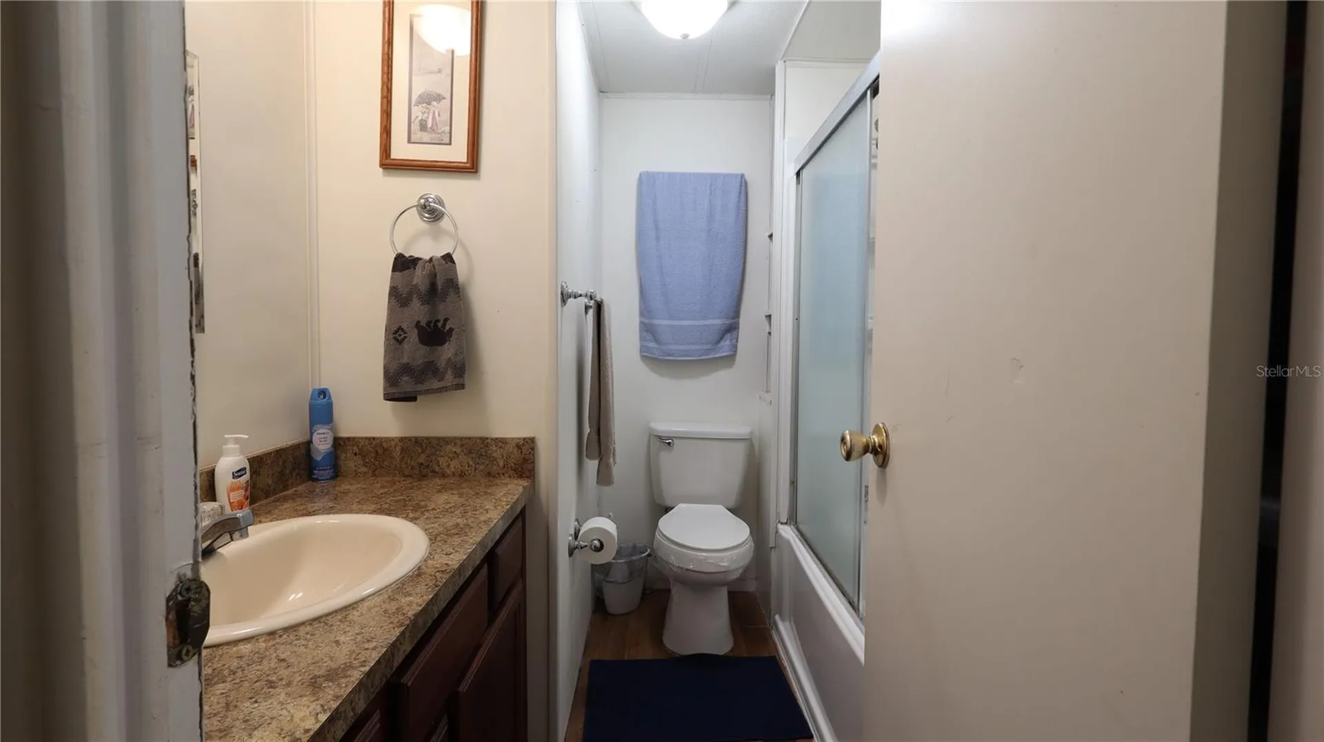 1158 Cr 439 Lake Panasoffkee FL 33538
