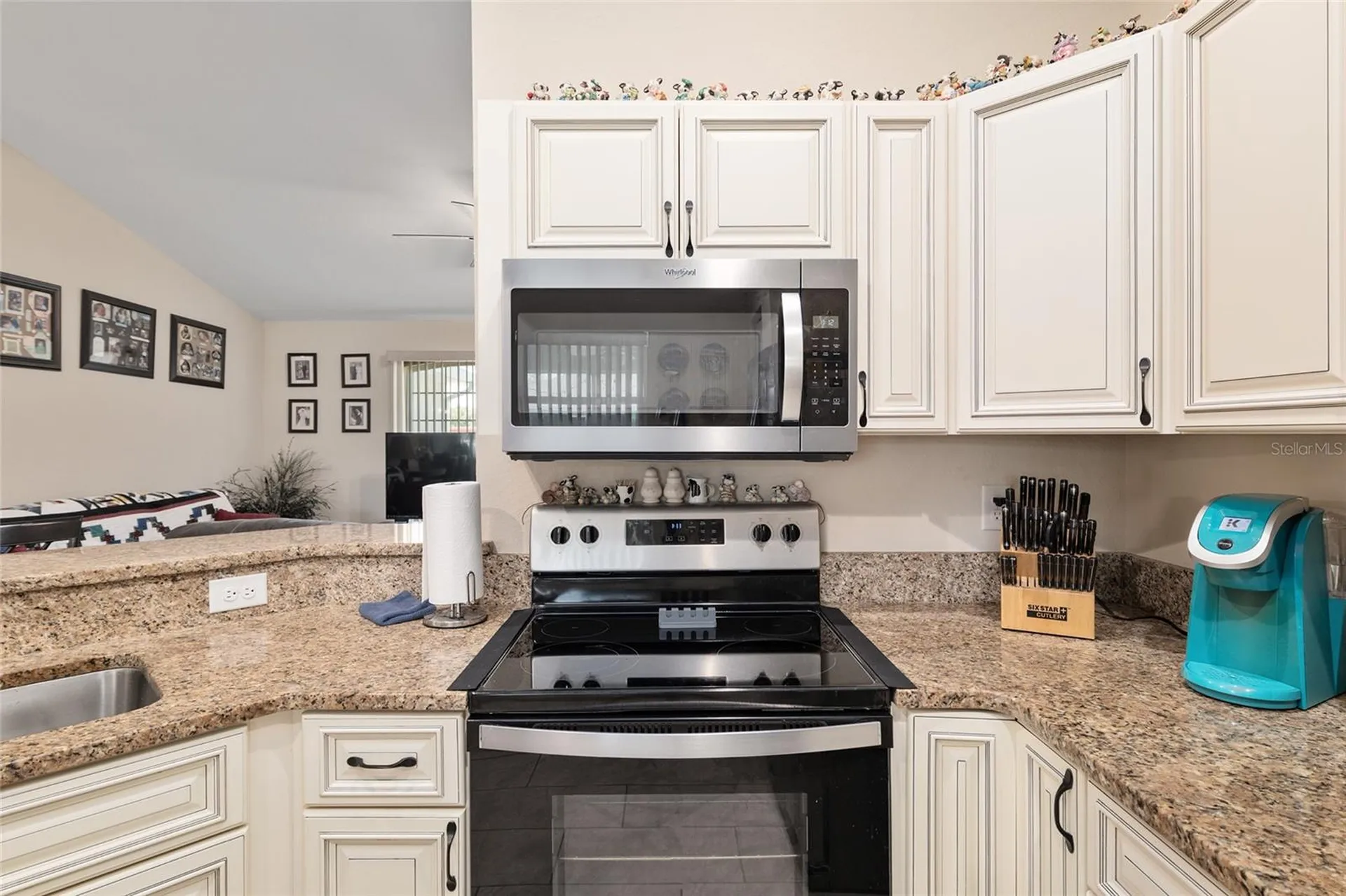 13581 SW 48th Court Ocala FL 34473