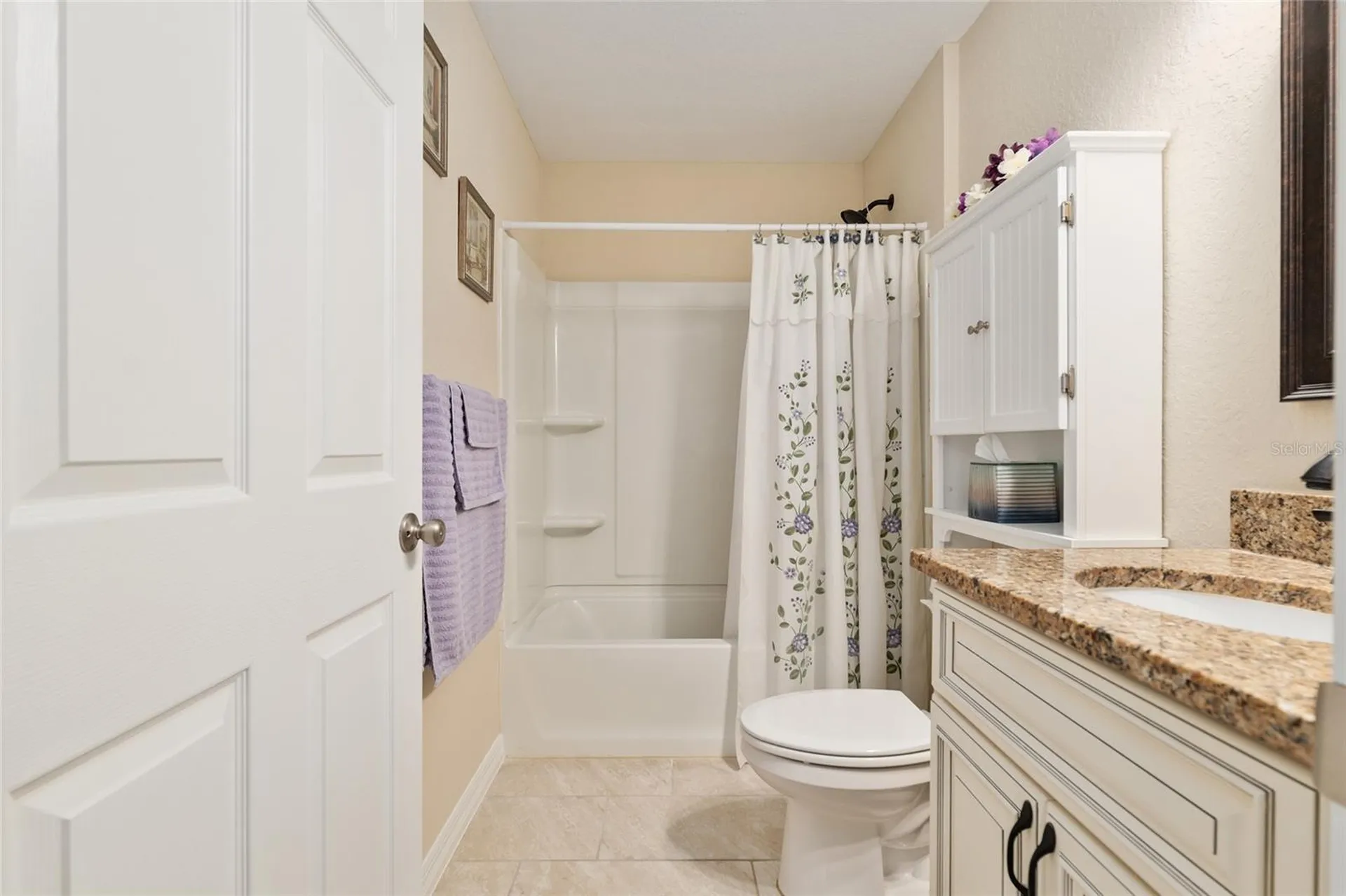 13581 SW 48th Court Ocala FL 34473