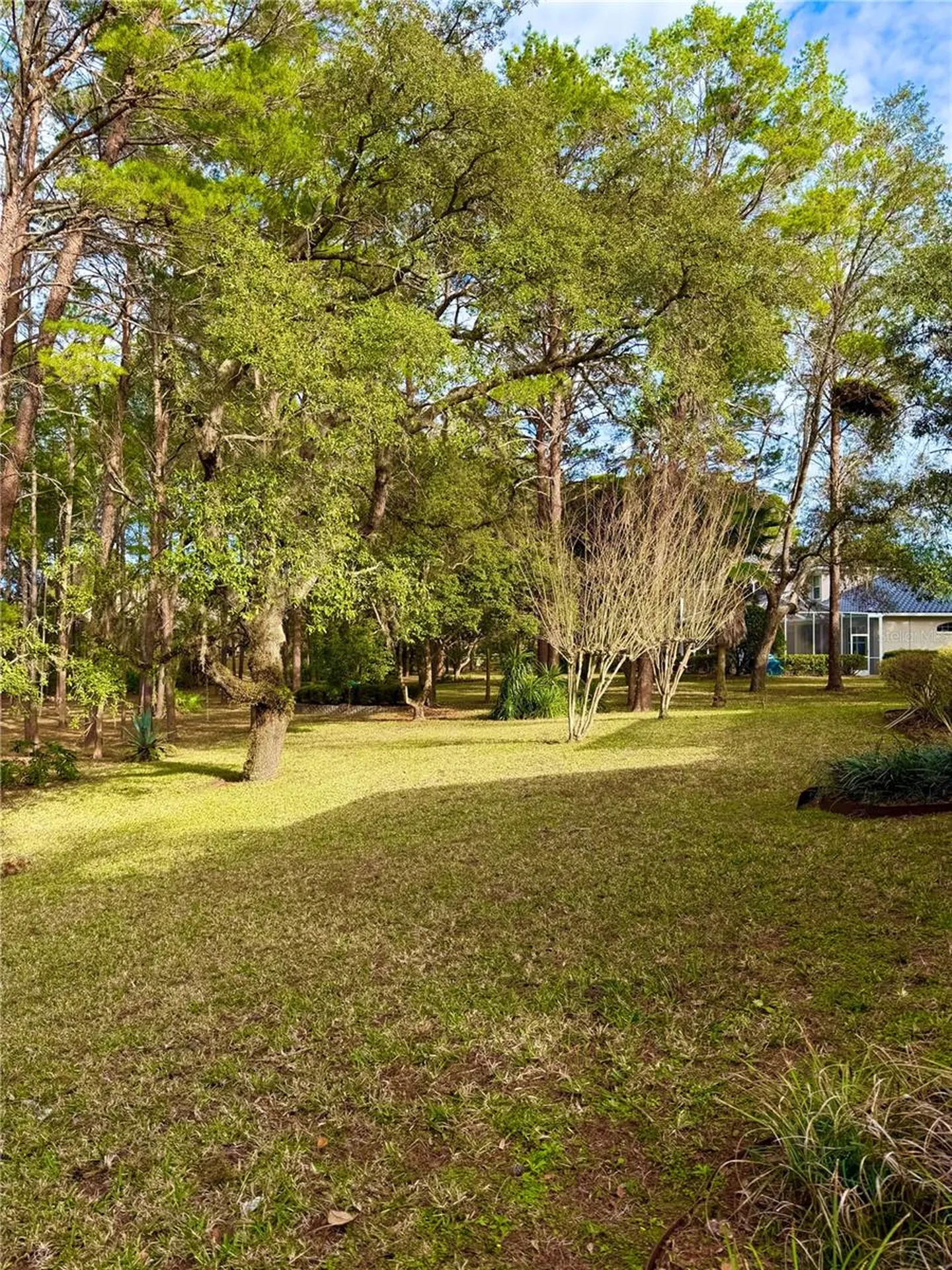 9448 Tooke Shore Drive Weeki Wachee FL 34613