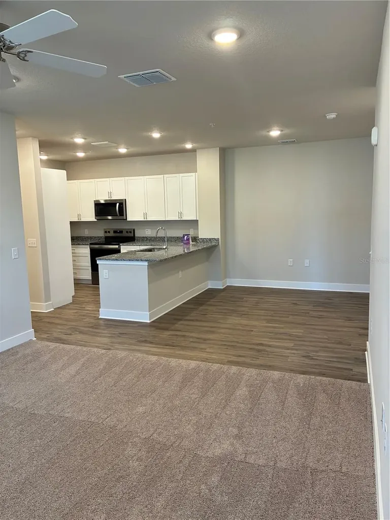 2300 Peaceful River Drive Mount Dora FL 32757
