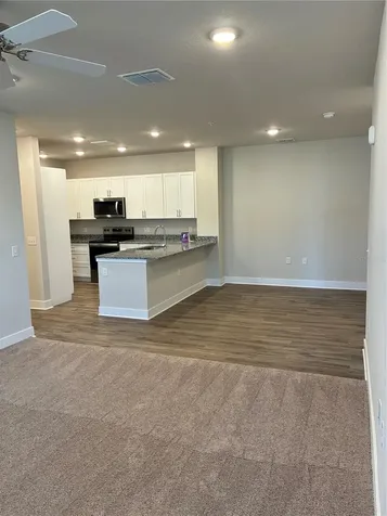 2300 Peaceful River Drive Mount Dora FL 32757