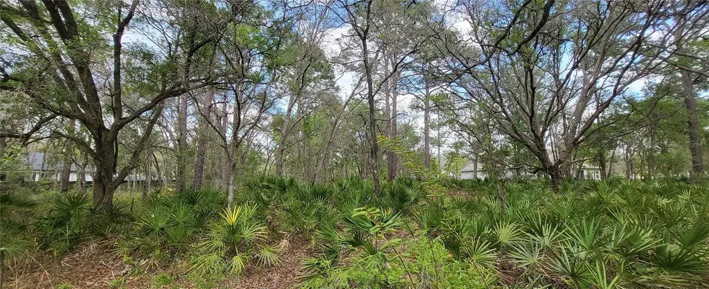 12090 Osprey Avenue Weeki Wachee FL 34614