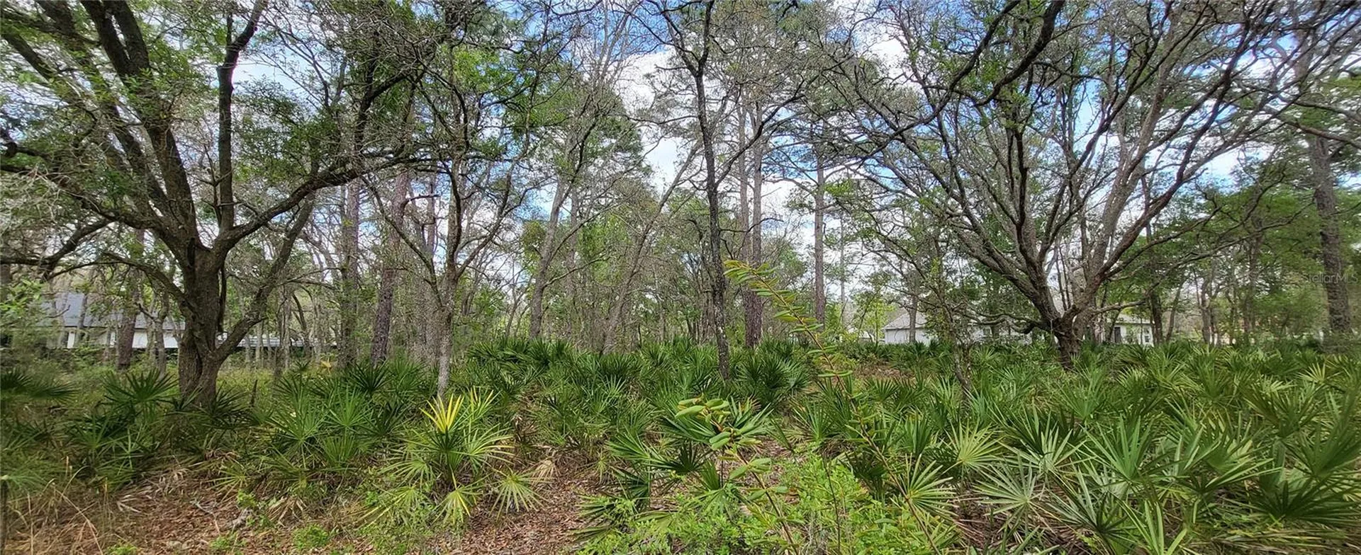 12090 Osprey Avenue Weeki Wachee FL 34614