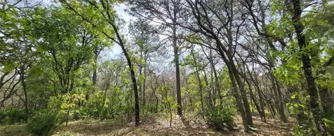 12090 Osprey Avenue Weeki Wachee FL 34614