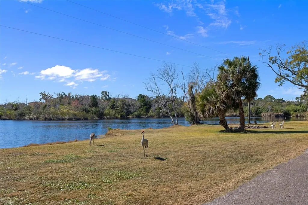 8301 Congress Street Port Richey FL 34668