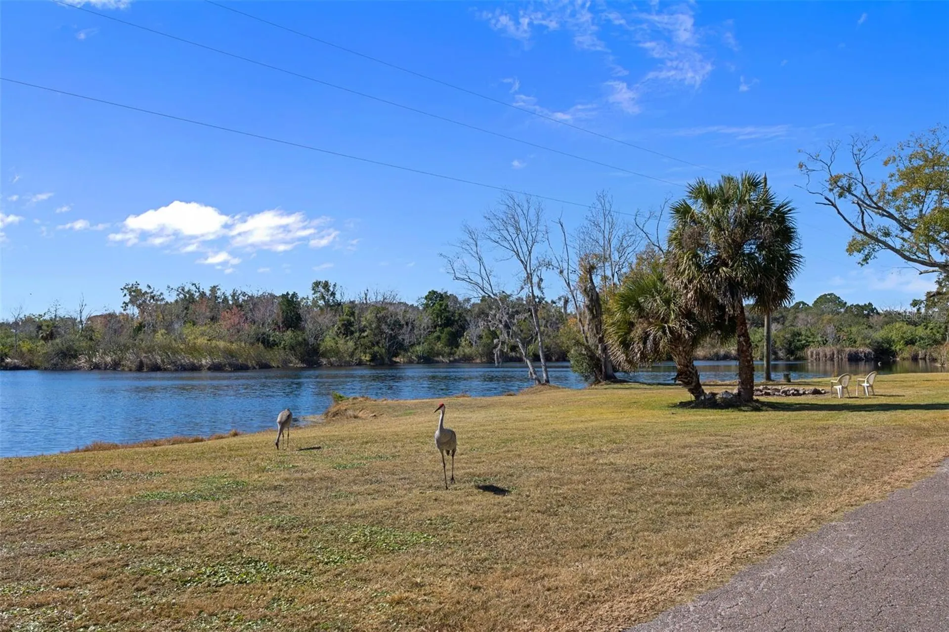 8301 Congress Street Port Richey FL 34668