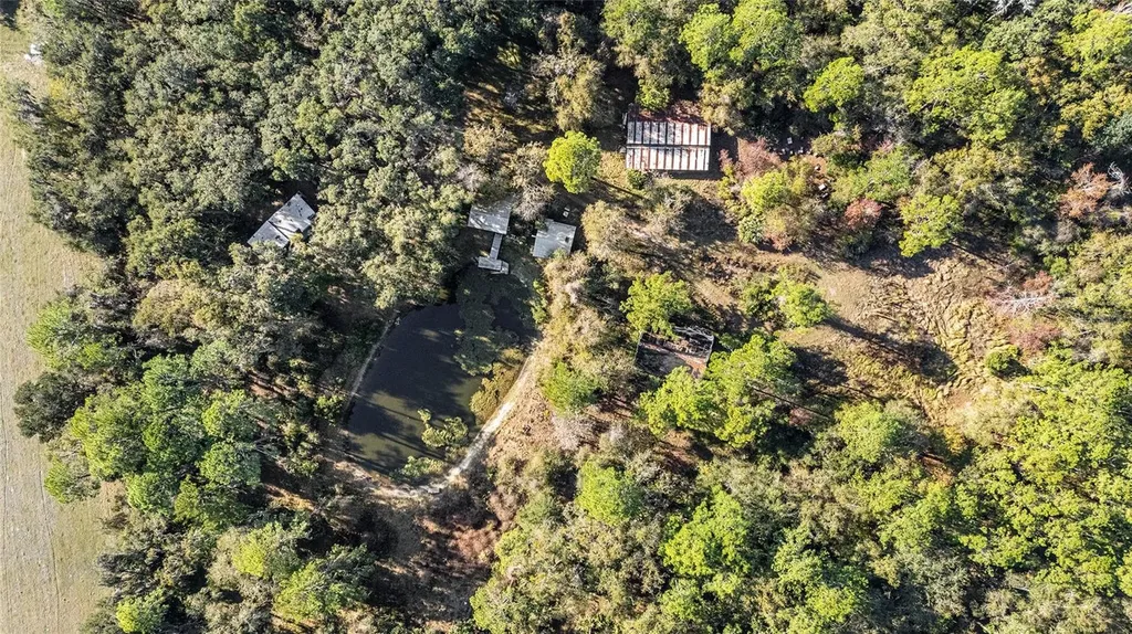 102 SW 109th Place Micanopy FL 32667
