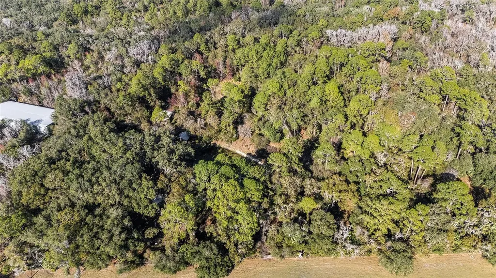 102 SW 109th Place Micanopy FL 32667