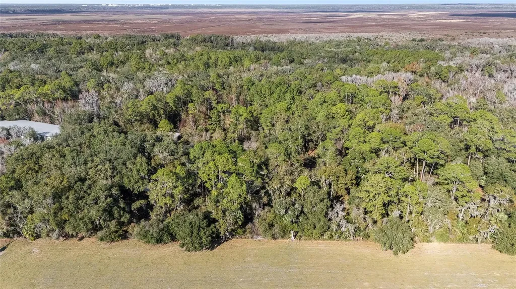 102 SW 109th Place Micanopy FL 32667