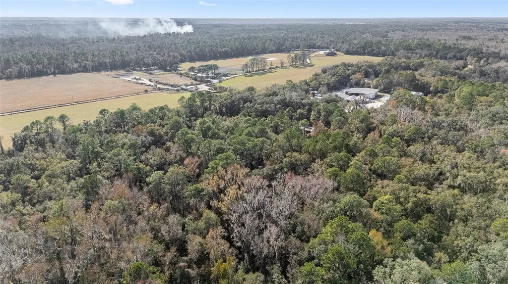 102 SW 109th Place Micanopy FL 32667