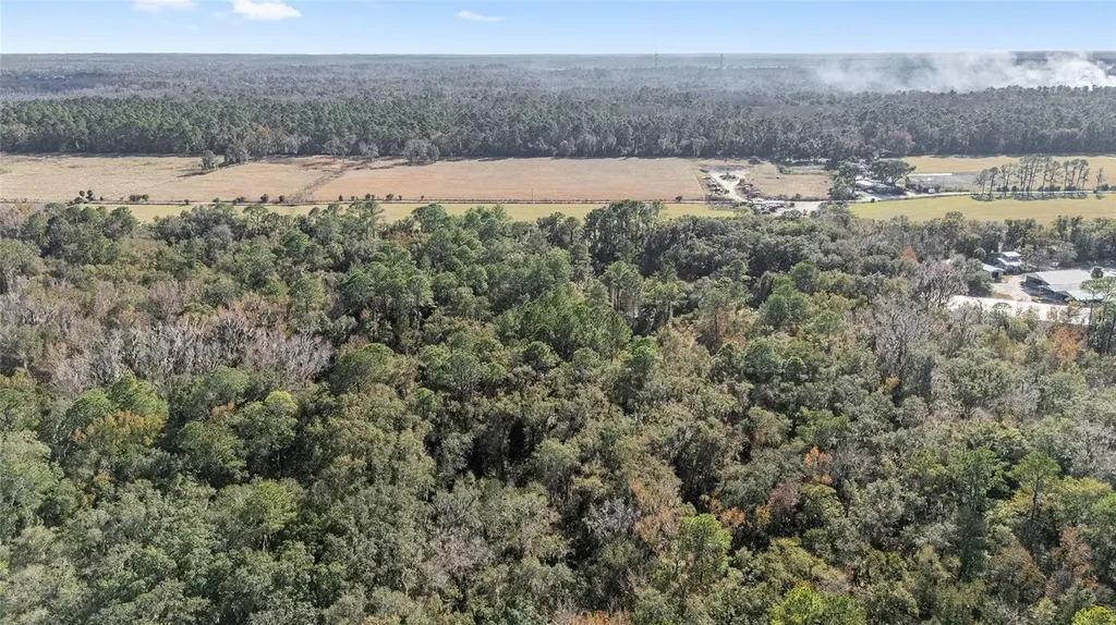 102 SW 109th Place Micanopy FL 32667