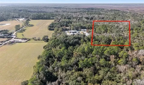 102 SW 109th Place Micanopy FL 32667