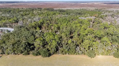 102 SW 109th Place Micanopy FL 32667
