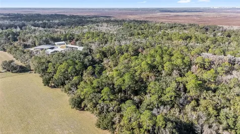 102 SW 109th Place Micanopy FL 32667